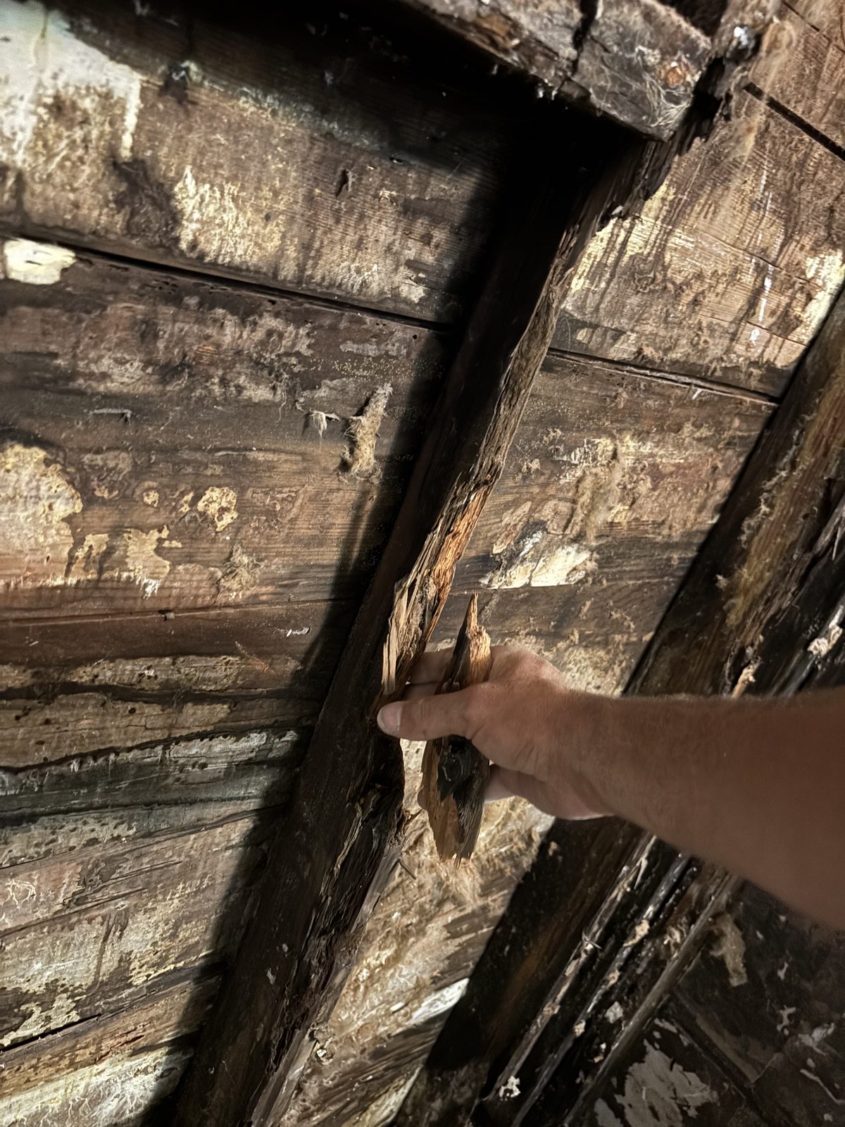 Rotted wall framing found behind the shower